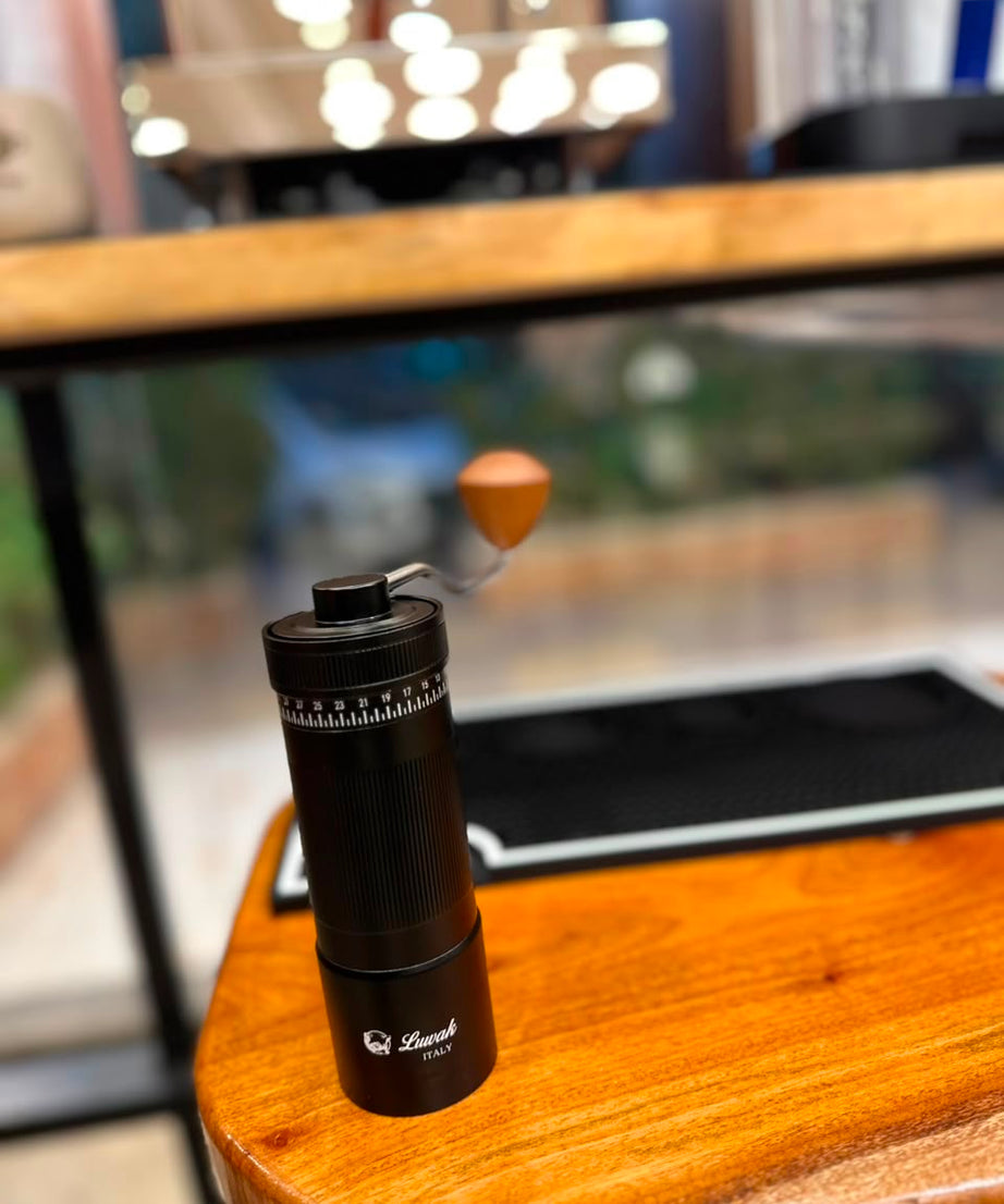 Manual coffee grinder