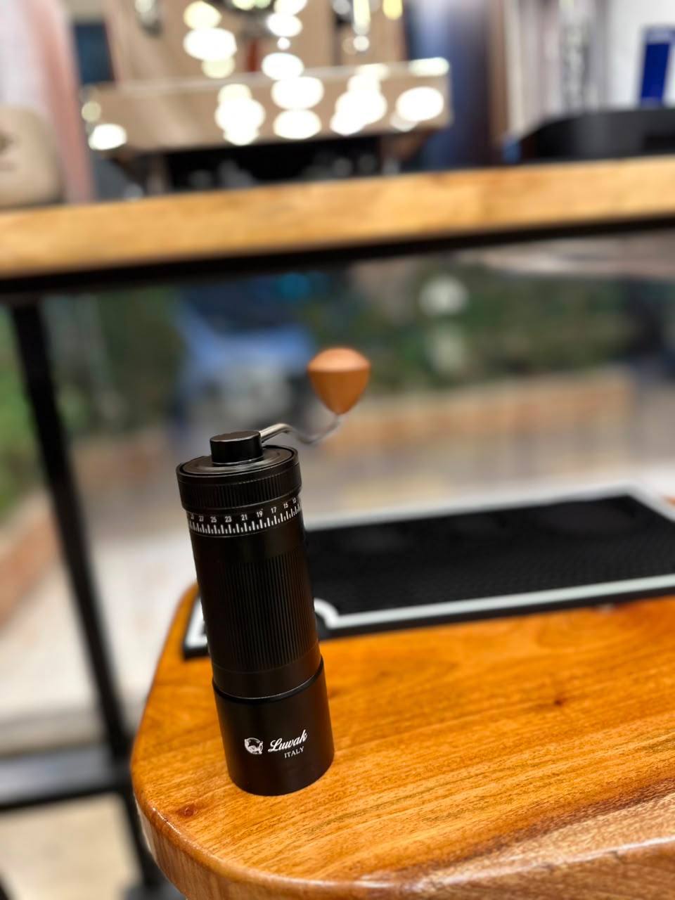 Manual coffee grinder